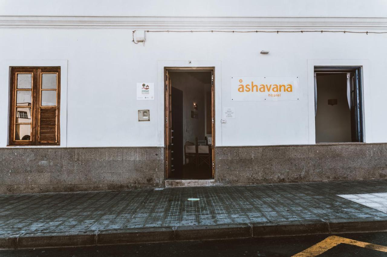 Ashavana Nest Hostel El Medano  Exterior photo